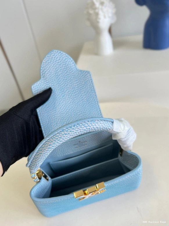 Aaa replica bags LOUIS VUITTON CAPUCINES MINI 0802